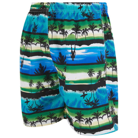 Mens Swim Trunks Swimming Shorts Board Bathing Suit, Small Medium Large X-Large - Picture 2 of 8